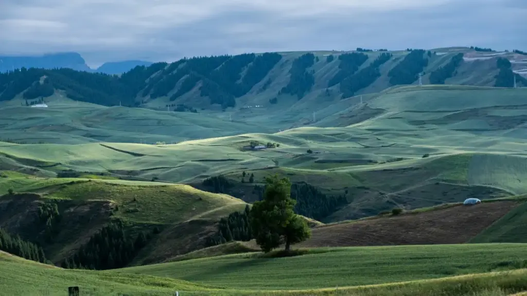 Practical guide for Eritrean creators to pitch Greek brands on Twitch and review edtech platforms.