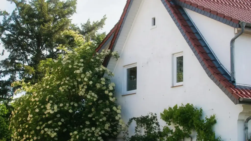 መርሓ ሓሳብን ኣርክቦን ንCreators ናብ Indonesia brands ብLinkedIn ምምራሕ ንGRWM ቪዲዮታት። ኣብ 2025 ዝተለዋወጠ ስርዓትን ኣብዚ ገጽ ንብረት ዝርከብ ርእይቶታት እናቀርብ።