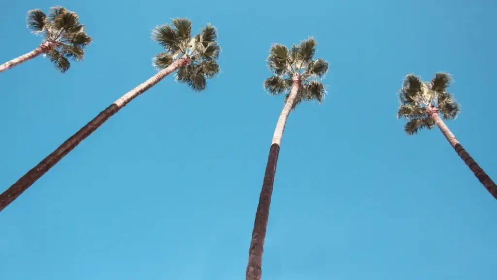 ንክብረት ፈለጥካ ፣ ኣርትዩ ክርዝኣታት ኣብ Viber ንIreland ብላይቭ ዳሞስ ምድላው መርሓቕ። ኣብ ዘይመሳሰሉ ሓሳብን ስራሕን ንተጠቃሚ መንገዲ ኣለና።