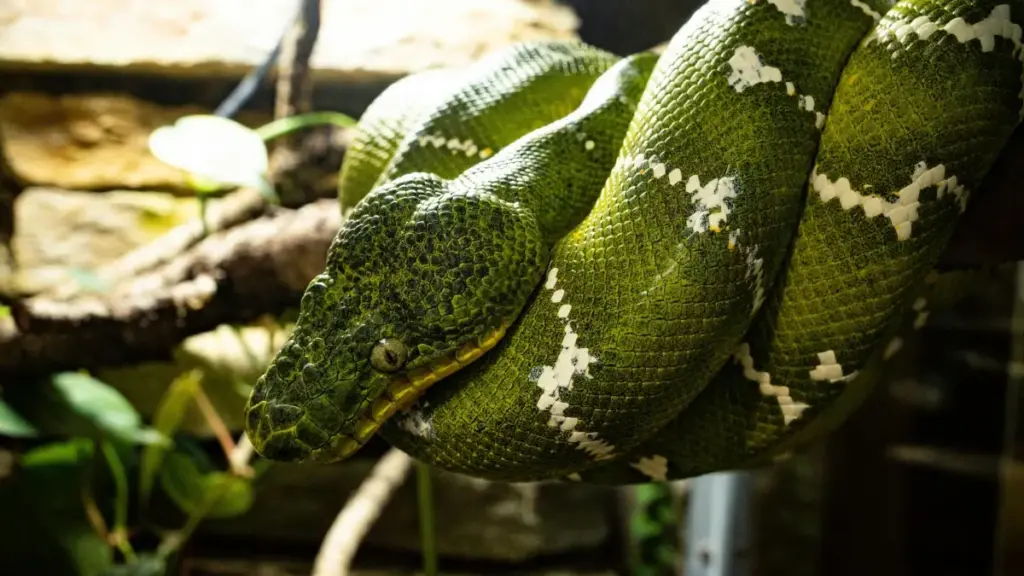 "ሓበሬታዊ መርሓባ ንንግዲ Philippines ብThreads፣ እቲ ኣስተዳደር፣ ሕቶ ምርምር እና ንግዲ ስራሕ እንታይ እዩ እቲ ሰርሕ።"