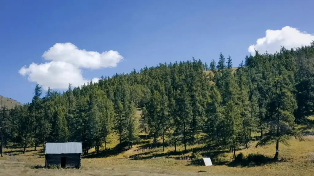 "እዚ ጽሑፍ ንፈላስ ፍሉይ ክፍሊ ከም ምስ Snapchat ንምስራሕ ለይቲ ብርኪ ናይ Sri Lanka ብርኪ ንግዲ ጥቅምታት ብብሑቕ ንምውዓል መልእኽቲ ይርከብ።"