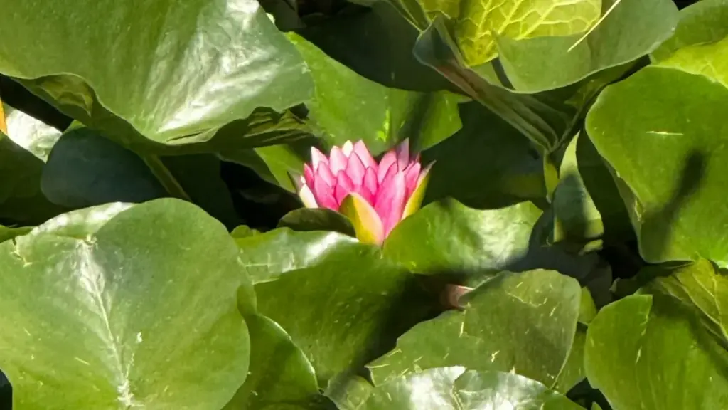 እዚ መዝገብ ንፈጣእ ክሳብ ኣሜሪካዊ ብራንዶታት ብWhatsApp ንምልኣይ ኣብ ግብዓት፣ ኣርከትን ንብረትን ዝተመርሐ ሓሳብታት ይርከብ።