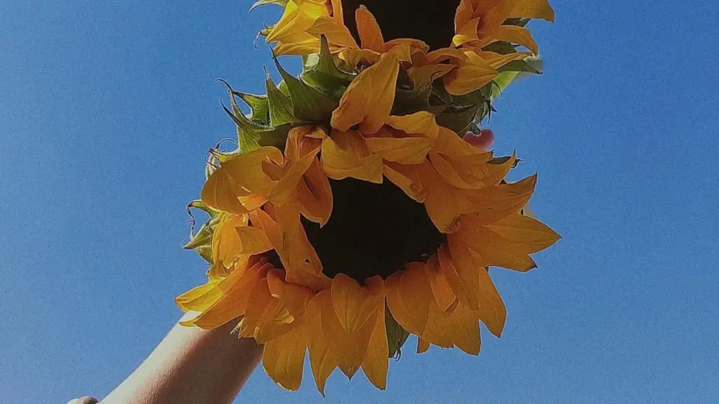 ኣብ ኤርትራ እንተተወዳዳሪ እንተዘለኹ ከኢማርኤት ኔትፍሊክስ ፍራንቸይዞች ጋር ኣፍሊየት ማርኬቲንግ እንትረኽብ እንዴት እንደምትችል ኣብዚ ብጅምላ ኣስተምራለሁ።