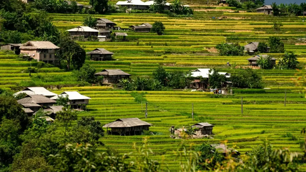 እዚ ጽሑፍ ለነቲ ኣባል-ሽያጥ ኣባላት ናብ እትም ኣብ Eritrea ዝተዋሐደ፣ እንታይ ክንክዕ ኣብ UK ዝኾኑ Chingari ክሪይተር ንምርካብ ንምርሓቕ ዝኽእል ስርሒት እንዴት እንተዋወቀ፣ ፈታሂ ሙያዊ መንገዲ ንምምላስ ክሰግር።