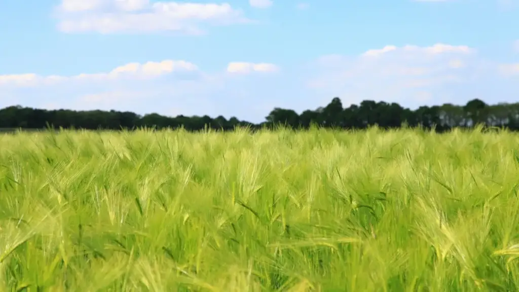 ናይ ኤርትራ ንምርሓቕ ማሕበራዊ ሚዲያ ኣገልግሎት፣ መንገዲ ንዝተለዋወጠ ክሪኤተር ኣባላት ከም ከሮዋሽያ Threads ንምርካብ ማንኛይ ናይ ማኩፕ ትዩቶርያል ኣብ ዝኾነ መርሓቕ ፈለጋ መርሓቕ መርሓቕ።