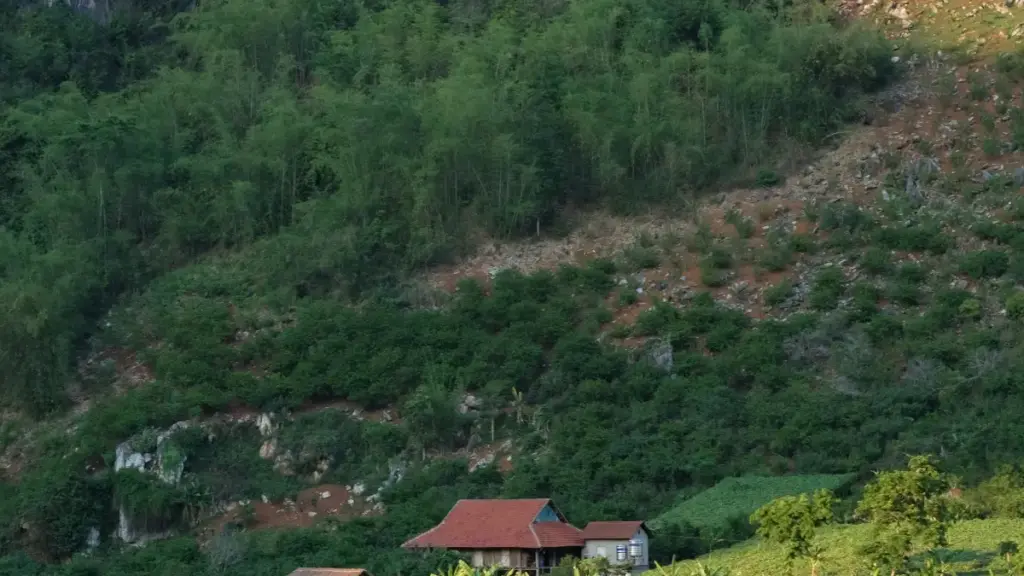 ኣብ ኤርትራ ለሚሸጡ ማሕበራዊ ሚዲያ ማሕበራዊ ዋና ሰራሕተኛታት፡ እንታይ እንተኾነ እንታይ እቲ ምርካብ እዩ ኣብ ShareChat ኢትዮጵያ ፈትሒ ምምላስ።