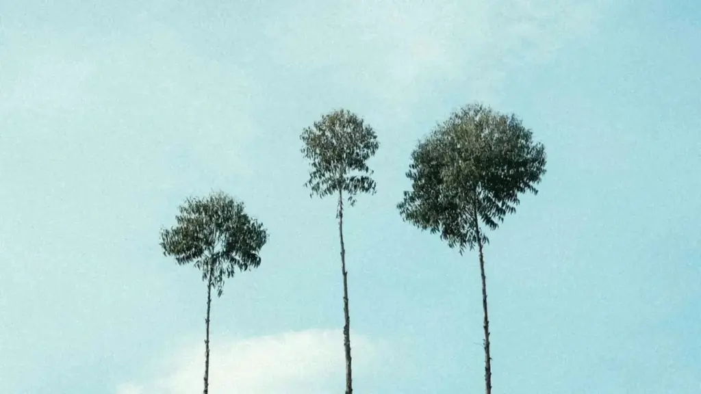 እዚ ጽሑፍ ንሓደ ኣቪርታይዘር ናብ France Etsy ዝነበሩ ክርከብ ሓበሬታታት ይርከብ። ናይ behind-the-scenes sponsored content ሓሳብ፣ መንገዲ ምርጫም፣ ኣርከብ ህብረት እና እቶም ዝተረኽበ ጉዳይታት ይኽእል።