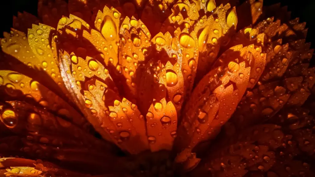 እዚ መጽሓፍ ለኣድቨርታይዘርን ለማርኬተርን እንታይ እንደሊ ስዊዘርላንድ Snapchat ክርኤተር ንምረጽ ኣብ ዓለም ገበያ፣ AR Lens መዋቅርን ንሞናታይዜሽን እንታይ እዩ ይገልፃ።