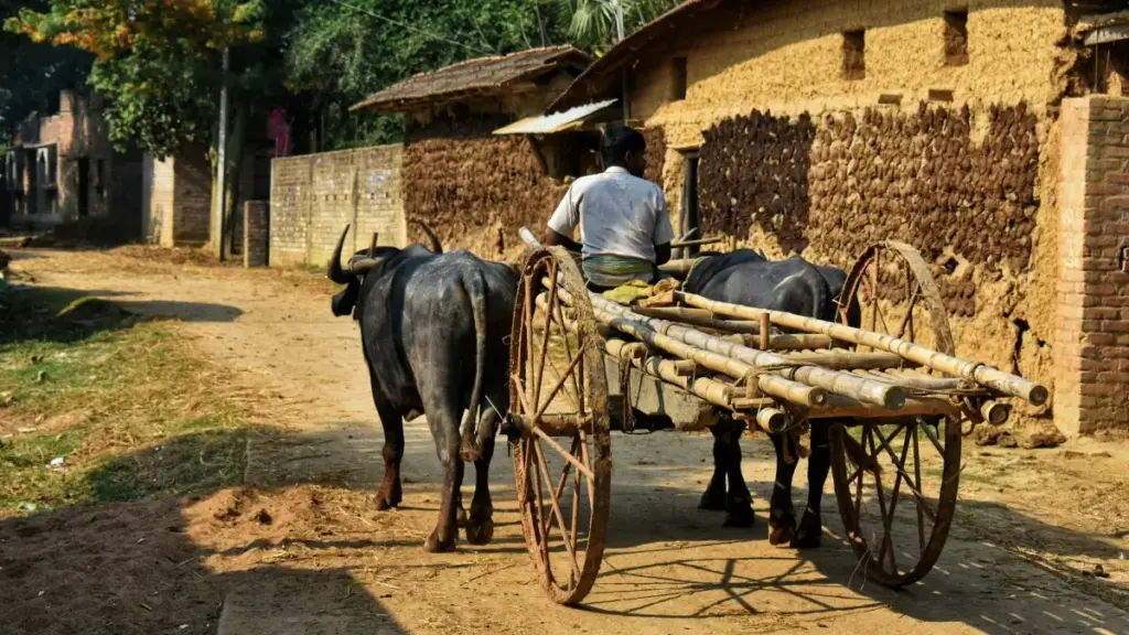 እዚ ጽሑፍ ሓሳብን ስርዓትን ኣብ TikTok ናብ Bahrain brands ንምውዓል ልብሳ ማሳያ ዝተመለከተ ሓበሬታ፣ ምግባር ንገልግሎትን ንፍለጥን ይርከብ።