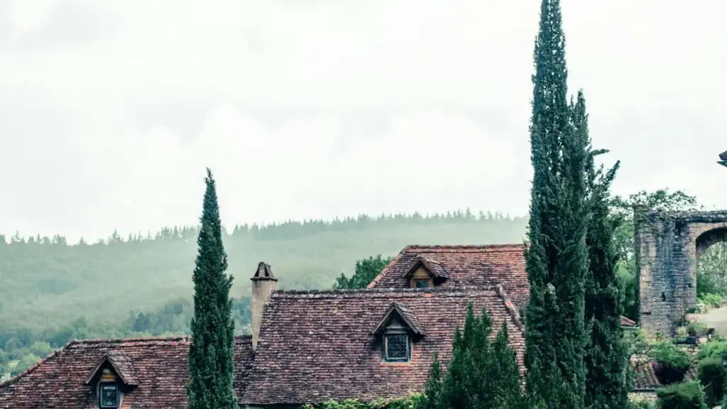 ምእታዊ መረጃ፣ ቴክኒክን እና ምርመራ እቅድ — እንታይ እንደ ምርምር ለUzbekistan Threads creators ዝተረኽበ ገበያ ጥያቄ ኣብ ኤርትራ ማስታወቂያዎን ይረዳ