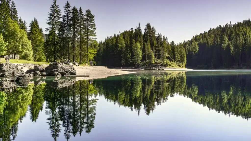 እዚ ጽሑፍ ንባህርያት ኣገር ናብ ቸክ ሪፓብሊክ Spotify ክርእየት ዘለኻ ፈላስላሊ እንታይ እንደተኸውን ምስ ሓሳብን ርእስን ይርዳ።