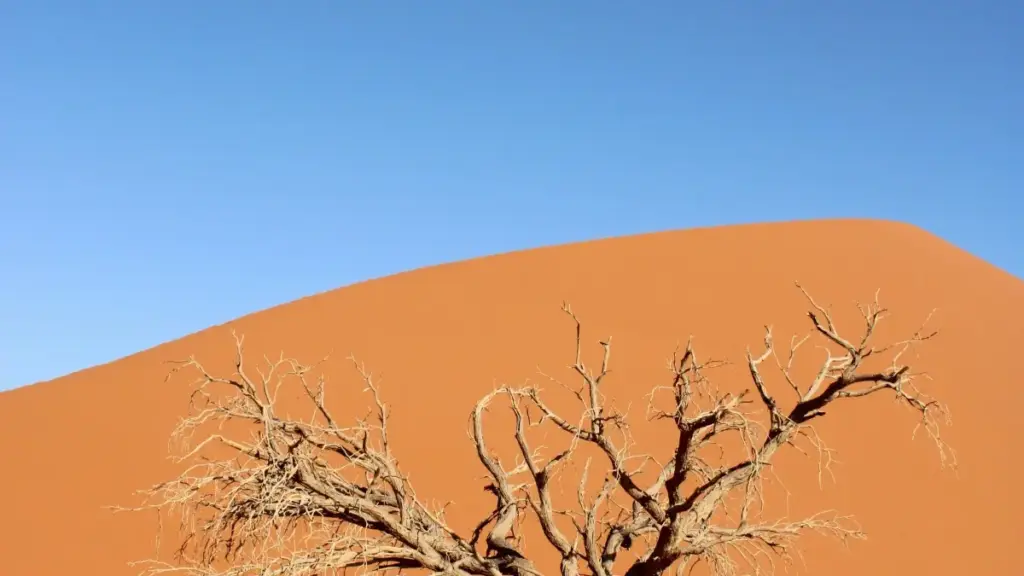 ንማሕበራዊ ሚዲያ ማሕበራት ናይ ኤርትራ ማሕበርን ለውጢ ሓበሬታ፣ እቲ ሓሳብ እንታይ እንተፈልጥ ሞንጎሊያ ኣብ Netflix ዝተኣሰረ ክሪየተር ምረፅ ንUGC ካምፓይን ዝገብር መርገጺ እዚ ጽሑፍ ይርዳካ።