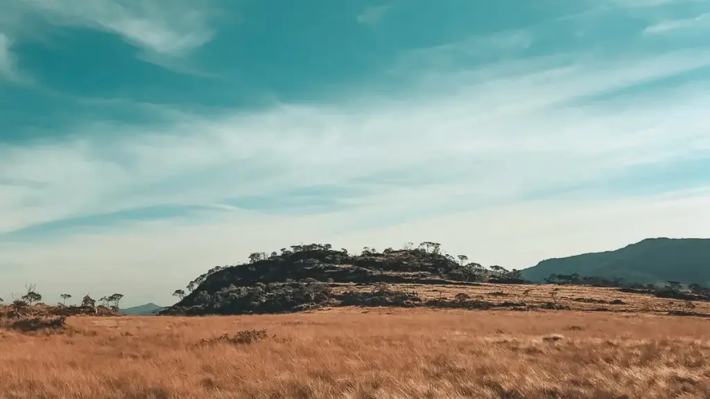 ንማሕበራዊ ሚዲያ ሽያጥን ንምርታት ኣባላት፡ ኣካል ናይ ኳይት Shopee ክሪየተር ንምርካብ ኣብ ረስና መንገዲ ኣብ ዝኾነ ኣድሓን መርሓባ።