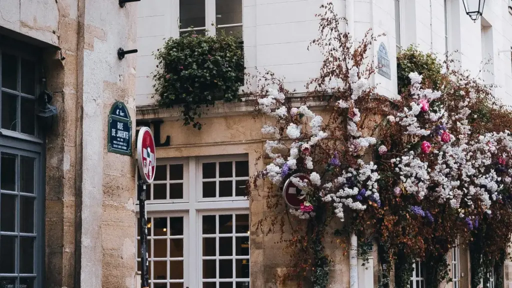 ጓልታት ንምምሕዳር፣ ኣገልግሎት እና ዋጋ ምርጫ: እንታይ ክንደይ ንAzerbaijan ብThreads ንምስርዕ ፊትነስ ብራንድ ንምርኣይ ዝተሓለፈ ስርዓት ኣለና?