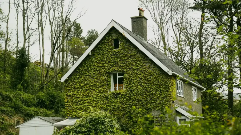 ንኣባላት ፍርያታትን ንሬጋርታት ናይ ጨዋታ ፈጣሪን፣ ሓደሽ መንገዲ ንViber ንምግናእ፣ ናይ Luxembourg ብርንድ ምርካብ መርምርን ርእይቶን።