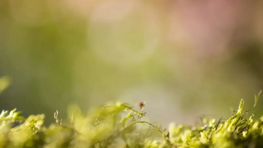 ንክብረት ፍሉይ ክርእየ ፍሉይ ፈለጥታ ዘለኻ ክርእየ ፡ መርሓባ ናይ Shopee- Facebook affiliate ኣብ 2025 ንምትሕትና መሪሕ መርሓባታት።