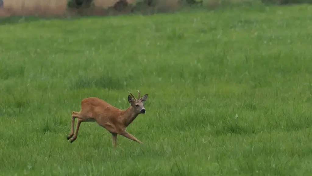 እዚ መዝገብ ለኤርትራዊ ኣድቨርታይዘርታት ዝተመረሰ መረዳእታ ይስጥ — እንታይ እዩ እንተሓሰበካ ኣፍሉ ናይ Latvia Line creators ንኣብርሃም ቀጣይ ክፍያ ዝርርብ ዝበለይ እንተደሊኹ?