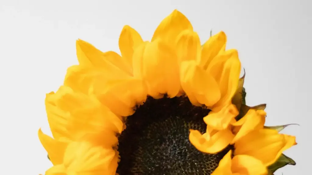 ናይ Eritrea creators መምርሒ፣ ናብ Facebook ላይ Luxembourg brands ግንኙነትን ምብራርን፣ ምሉእ ሓሳብን ኣብ ምስጢራዊ ጎሓዎች ምንባር ዝተኻኸለ መረዳእታ።