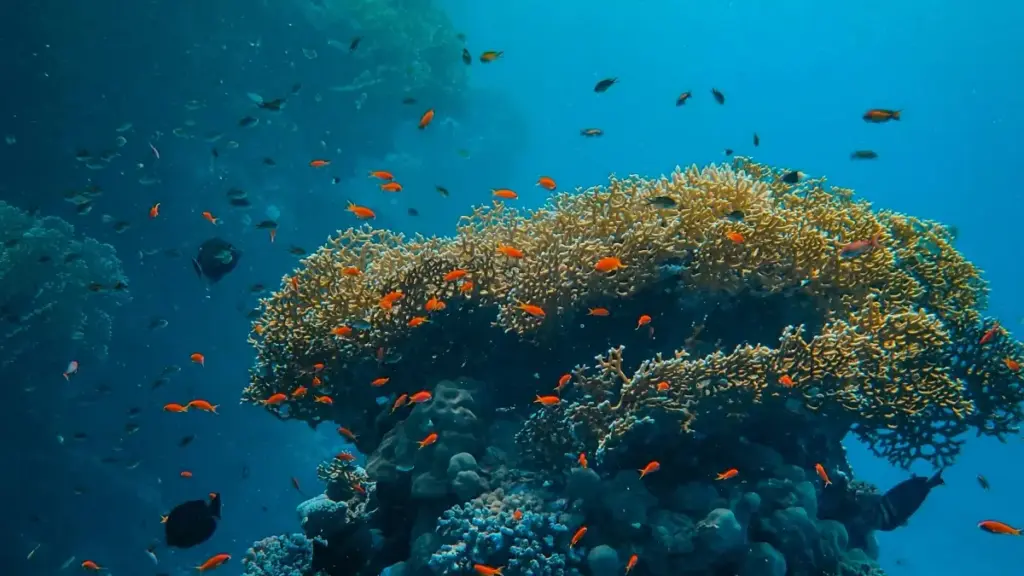 ኣብ ኤርትራ ንስራሕ ሓላፍነት ኣብ ፋሽን፣ መንገዲ ኣገዳሲ ክንደይ ንኒውዚላንድ Line ክሪየተርን ንምልከት እንታይ ይኽእል። መደብ ሓደ መረዳእታዊ ሰንደቕ እናስተርክና ኣብ ብእትም ፍሉይ ምስጢር።