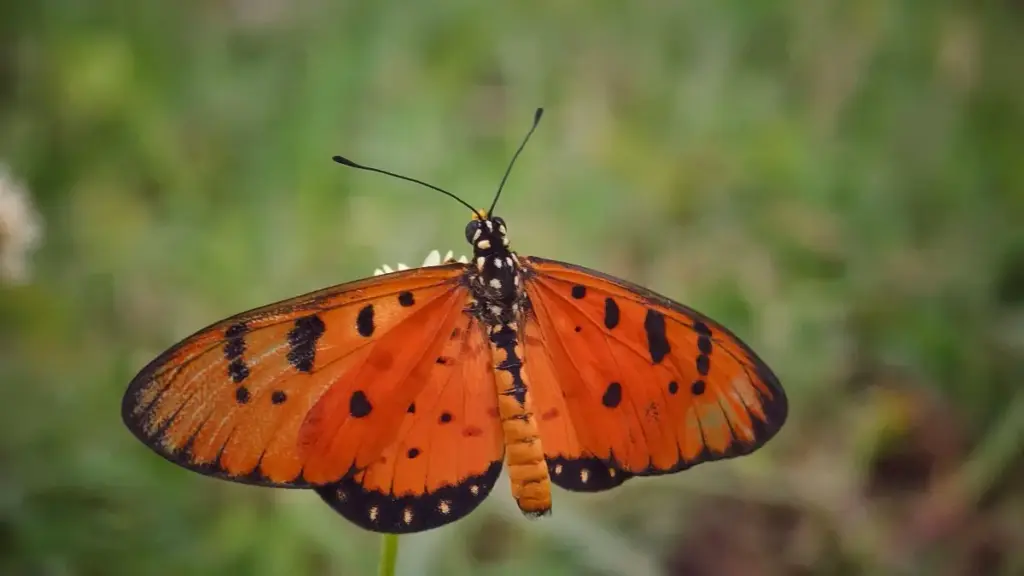 ንክብል ክትርከብ ኣብ TikTok ናይ ጄርዳን ብራንድታት ንምልክት ክትሓልዉ ዝብል መንገዲ ሓበሬታ፣ ስርዓትን ሓሳባትን ኣብ ትግብሪ ዝተመለከተ መደብር ኣብ ትግሪኛ.
