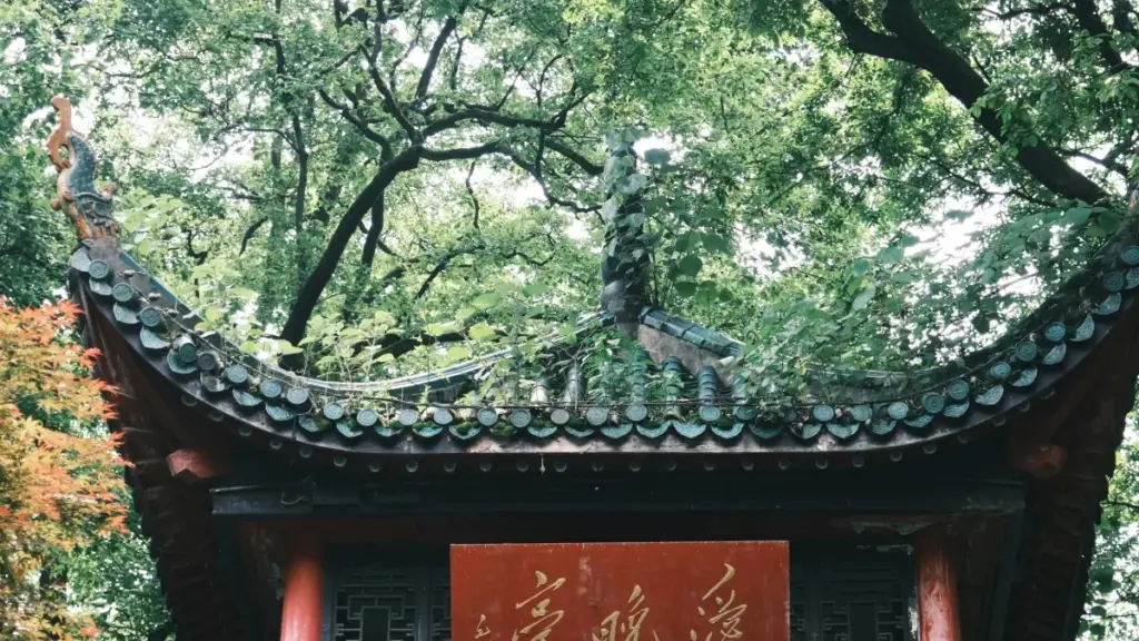 ንክፈልፍሉ ፍሉይ ፍቕሪ ፣ ምትእዛዝ ንXiaohongshu ኣብ ስሪላንካ ብብራንድ ግንኙነት ንምርዳእ መንገዲ ሓበሬታን መንነታት ክሰርሕ ዝበለ መረዳእታ ናይ ፍላይ ፍቓድ ይህልዉ።