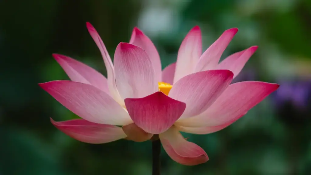 ንኣድተርፈዳ ኣብ ኤርትራ፡ መንገዲ ምርካብ ንናይጄሪያ LinkedIn ክርዕስቲራት ንመዓልቲ ውስጢ ምስጢራዊ ቪዲዮ ስፖንሰር እንታይ እንደሊ ዝብል ጥቅም ዝርርብ።