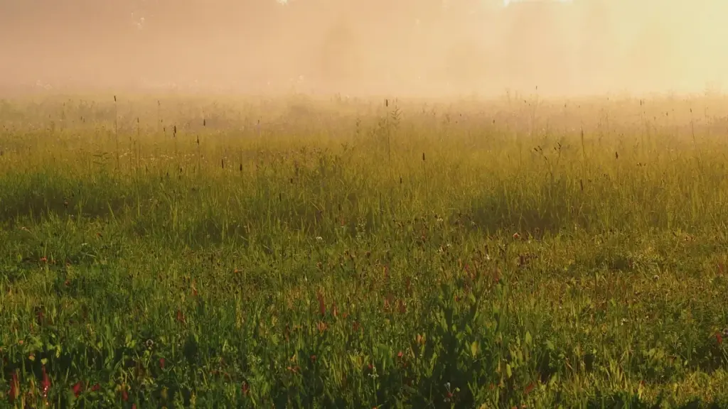 እዚ ጽሑፍ ንኣማራጺኦም ኣባላት ንSlovakia ShareChat creators ንምርካብ ኣብ ኮምብራንድ ፕሮደክት ድሮፕስ ዝወደድ መንገዲ ይርከብ።