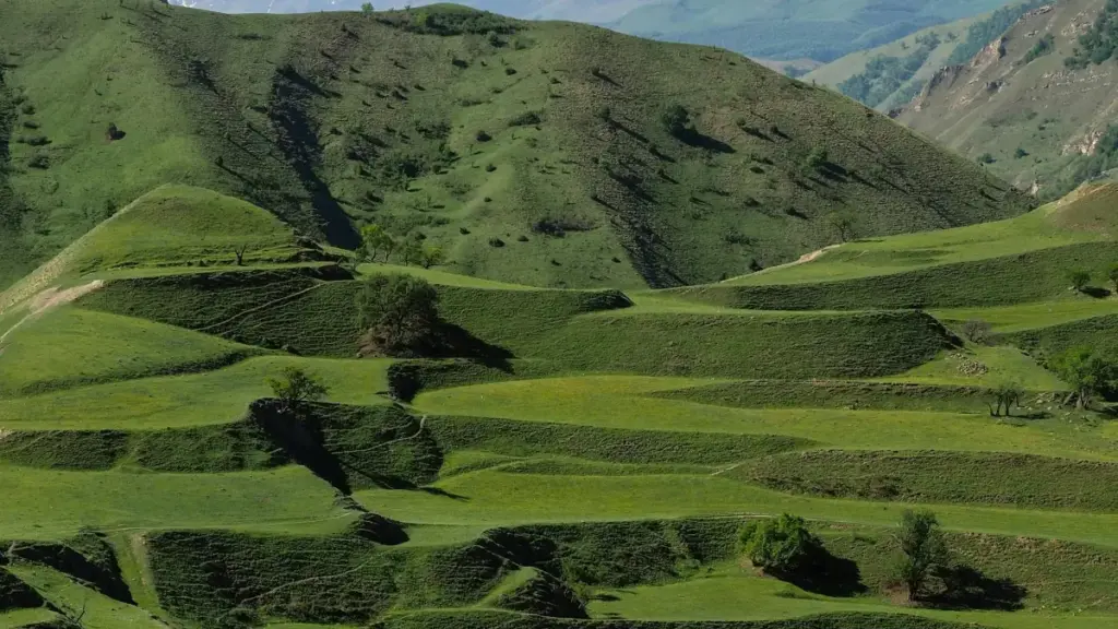 እቲ ግንዛቤ ንኹሉ ፍጥሪ ፈለጥ ፍርያም ብTikTok ንቤልጄም ብራንድታት ንምርካብ፣ ሓሳባት፣ እታ ናይ ጨዋታ ፈለጥ ኣብ ህዝቢ ዘለኻብ ገበን መርሓባ ዝኾነ መርሓብን ሓበሬታን ኣርከት ይርከብ።