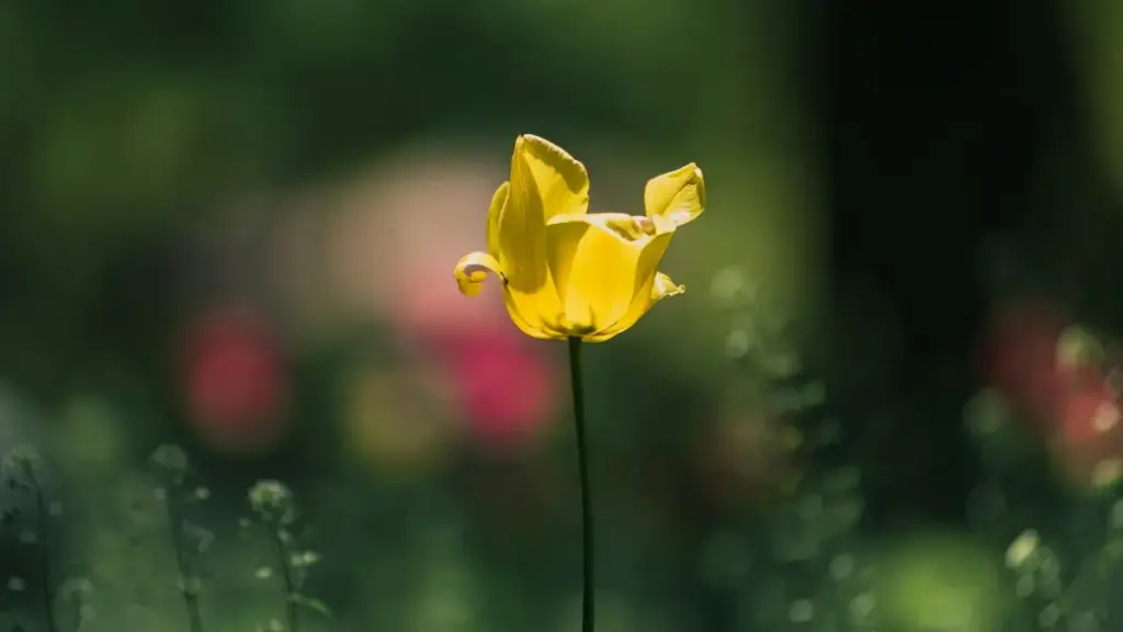 ክንደይ ኣብ WeChat ክትገብር ንIndia ብርንድን ንስፖንሰር ማሕበራዊ ገጽታታት ኣማራጺ መረዳእታ — ኣብ 2025፣ ቀይሕ መረዳእታ ንንግስታትን ንኣገዳሲ ስራሕን።