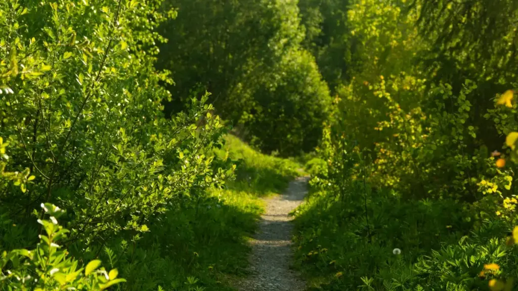 ንፈለጥ ክፈል፡ እቲ ግንዛቤ ስለ Chingari ንKazakhstan ብርንድ ንምልክት ንብልል ከም ዝተሓተተ መረጃን ምርካብ ንኽትኽውን መምርሒ እዩ።