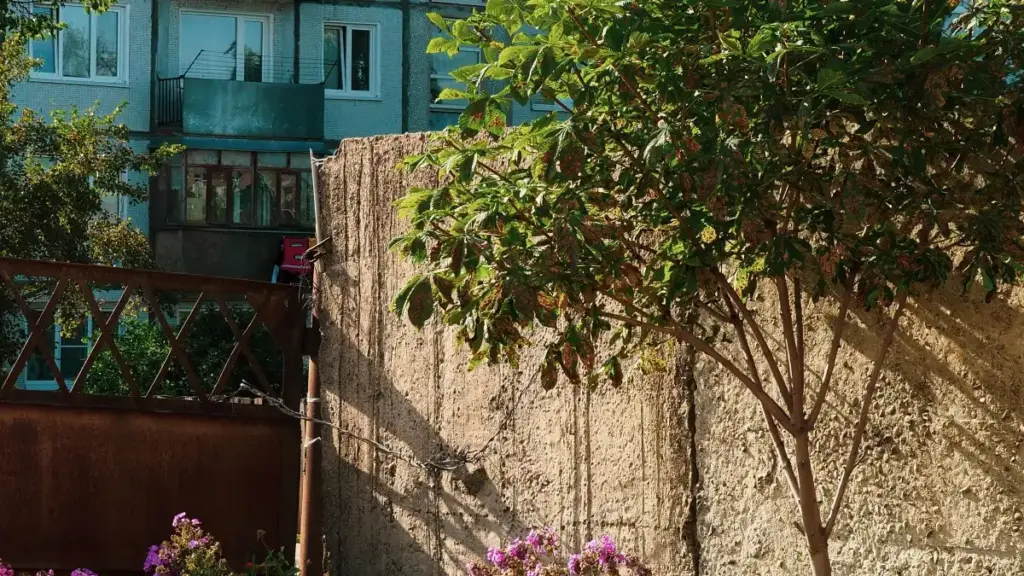 እዚ ጽሑፍ ለEritrean ክርእያታት ዝተመረሐ መመርያ እዩ። እንታ ኣብ Spotify ክንከፍሉ ንPuerto Rico ዝርመር ብዋጋ ኣህጉር ዘሎ ውድብ እዩ ዝተረዳ።