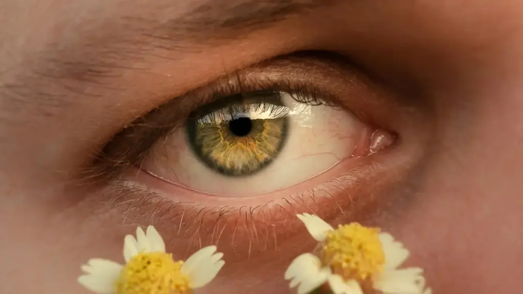 ናይ ጤና ሕይወት ብርኩስ ምርታት ኣብ Colombia ምንቅስቓስ ዝተኻኸለ Rumble ክርኤተርን ንውደት እንተበሃል፡ ሓበሬታ፣ ፈተናን ሽምግልና ናይ ማርኬቲንግ ስርዓት ይህብና።