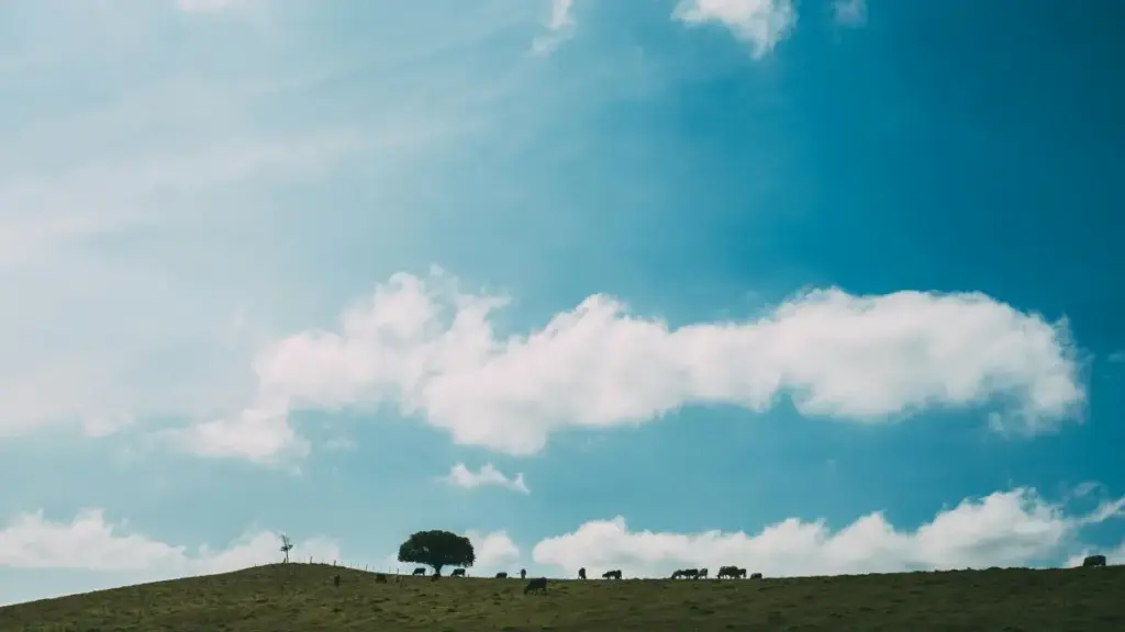 መረዳእታ ንኣዳላዊ ኣታዊ ኣባል ኣብ ኢንዶኔዢያ፣ Disney Plus ክርእይ ፈላለይ ብምግባር ንኣዳላዊ ምርካብ ስለዝኾነ ሓበሬታ።