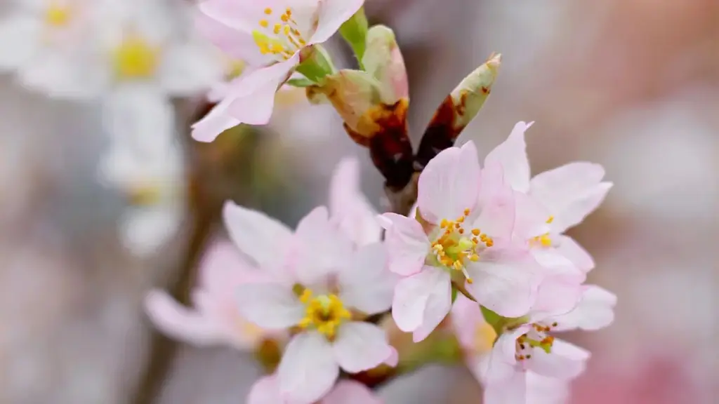 እዚ ብዛዕባ ጽሑፍ ኣስተዳደር ዝተረኸበ መረጃ፣ YouTube ኣይነታትን እንታይ እንደሊኻ እያ ንNorway ብራንድ ን localized ይወስድ ዝተረጋገጸ መረጃ ይርከብ።