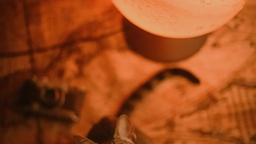 Eritrea creators ila Vietnam Etsy sellerek bisha’awi zeynegeru short-form branded videos selamta, practical steps, contact flow, payment issues, and pitch templates.