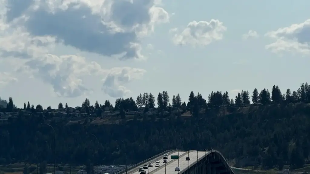 እዚ መጽሓፍ ንኣገልጋይነት ዝተለዋዋጠ ሰብ ኣብ ኤርትራ፣ ኣብ ክሪኤተር-driven product seeding ስር ናይ ባልግሪያ Instagram ክሪኤተሮች ከምኡ ከምዝተረዱ መርሓባት ይርከብ።