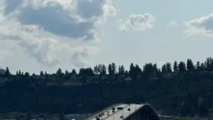 እዚ መጽሓፍ ንኣገልጋይነት ዝተለዋዋጠ ሰብ ኣብ ኤርትራ፣ ኣብ ክሪኤተር-driven product seeding ስር ናይ ባልግሪያ Instagram ክሪኤተሮች ከምኡ ከምዝተረዱ መርሓባት ይርከብ።