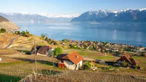 ኣርቲስቶች ስናፕያት ኣዘቦያን ንምርጫ ለማእከላይ ትምክሕቲ ንምርሓብ፣ ሰልፊ እተንቀሳቐስ ዝተሰናይ ስራሕ ናይ ቱሪዝም ምርመራ፣ ክንወስድ ዘለና መረጋገጺ ኣለ። Keywords: Snapchat creators Azerbaijan, influencer tours, tour promotion, influencer marketing, Eritrea advertisers.