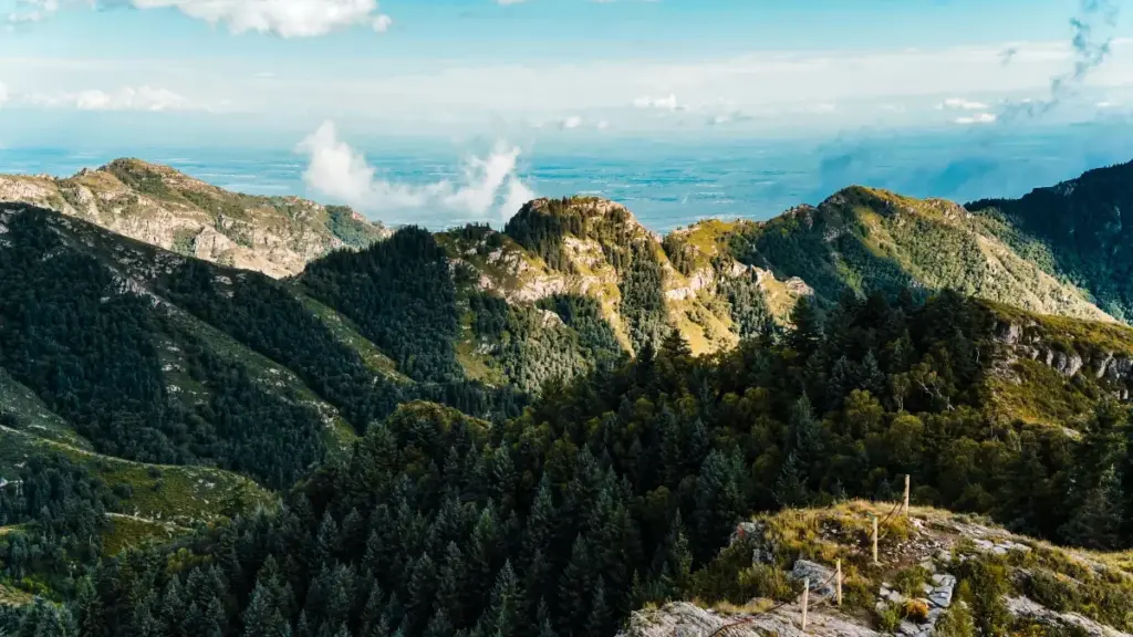 Natsnetawi gize፡ Eritrea advertisers kessa Israel Douyin creators yemeslilu health supplement lines kemey mendelefa — practical steps, outreach templates, risk checks.