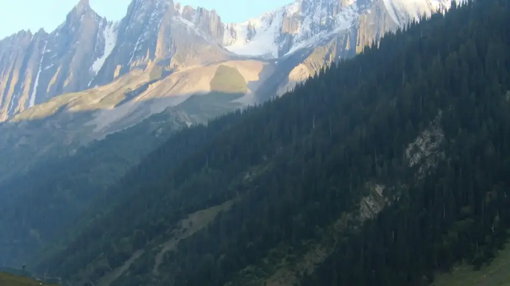 ሓበሬታ ንኣቮንታይዝር: ከኒያ ኣፕል ሙዚቕ ክሪኤተርን ምርምርን ለማዕከል ርእይቶ ንግዳ ርእሲ።