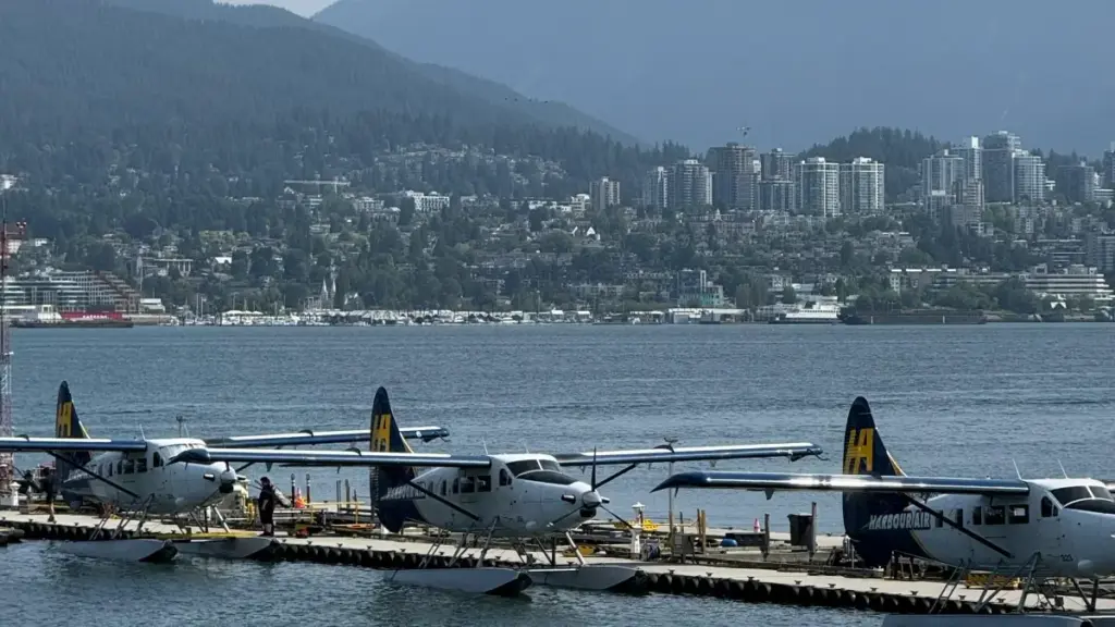 ንባዕላዊ ማሕበራዊ ሚዲያ ኣዕምሮ፣ ንዝተመረመረ ሓበሬታን ንምርሓቕ እንተኾይኑ ኣብ ሳውዲ አረቢያ ናይ Facebook ክሪየተርስ ንምኽንያት ለተወዳጅ ሊሚትድ ድሮፕስ እንታይ እትደልዩ።