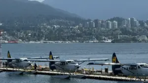 ንባዕላዊ ማሕበራዊ ሚዲያ ኣዕምሮ፣ ንዝተመረመረ ሓበሬታን ንምርሓቕ እንተኾይኑ ኣብ ሳውዲ አረቢያ ናይ Facebook ክሪየተርስ ንምኽንያት ለተወዳጅ ሊሚትድ ድሮፕስ እንታይ እትደልዩ።