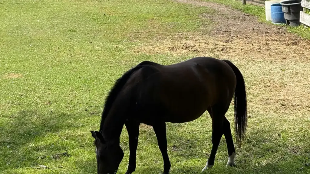 ንማሕበራዊ ሚዲያ ኣባላት ንAdvertisers ኣብ ኤርትራ፡ እንታይ እንተደሊኹ ንSingapore Hulu ሚክሮ ክሪየተሮች ንፕሮዳክት ትራያል ክኸውን ዝኽእል መርሓዊ ስርዓት።