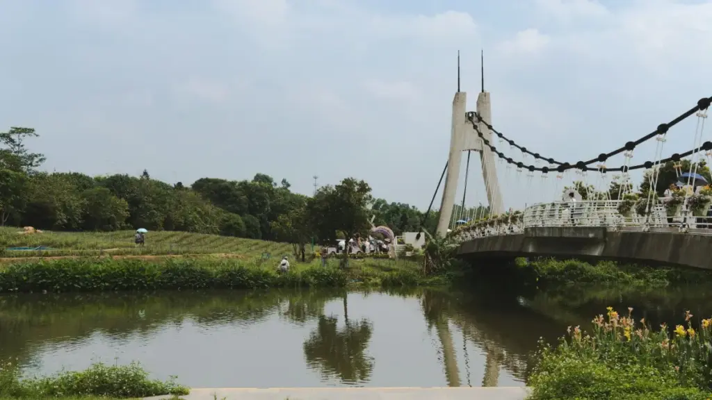 ክንደይ እንታይ እትረኽብ ሰው ኣፍሪካ Pinterest ክሪኤተርን ንስኪንኬር ሽቶታት ንምርግጋጽ? ሓበሬታ፣ ናይ ገበያ ክትረኽብን ምስካር ምርምር ኣብ ቀረባ ሓደሽ ምርምር.