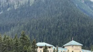 እዚ ጽሑፍ ለኣድቨርታይዘርቶች ናብ እስራኤል Apple Music ክሪይተሮች ምርምርን ናይ micro-influencer ፕሮዳክት ትራያልን ዝኾነ ሓሳብን ንምቕጻል ይርከብ።