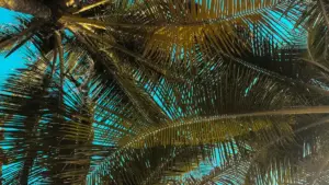 Eritrean creators ki‑Twitch, nayn Spain brands kəntu contact kaɲɲu, exclusives beta launches‑ni join kebdu. Praktikal tips, outreach templates, risk controls, na MaTitie VPN rekomend.