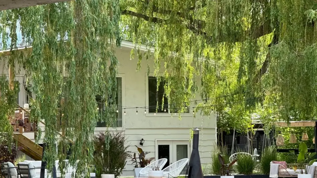 እዚ ጽሑፍ ናይ ኤርትራ ፈለጋ ፍትሒን ፕላትፎርምን ምምሕዳር ኣሎ። ኣብ Josh ላይ ከመይ ታይላንድ ብራንዶታት ክትደልይ ንምርምር ንምሕዳር ብርኽታ ሓበሬታ ክሰግር ይኽእል።