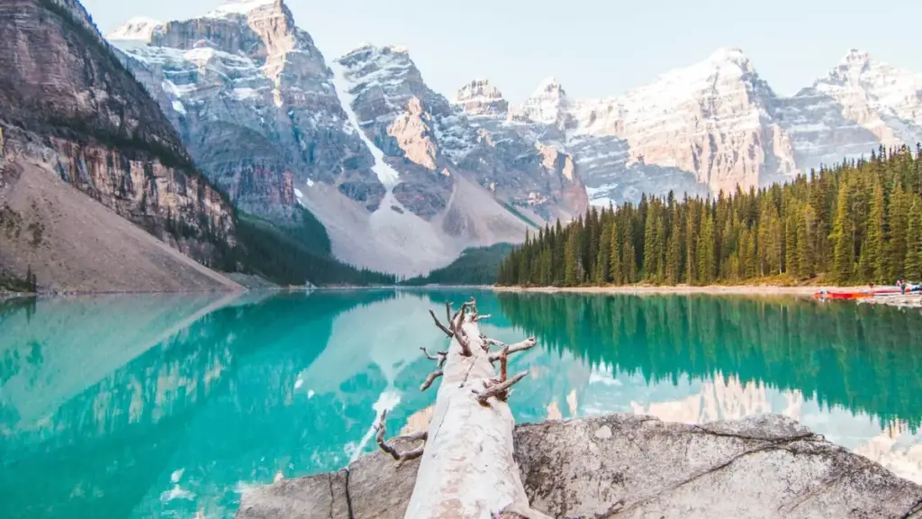 ንalbum reaction ካምፐይን ብCosta Rica Twitch ፈጣሪታት ከመይ ከም ትረኽቦም፣ ከመይ ትምዘንዮም፣ እና ክትከታተል ዘለካ ምልክታት ብቐጥታ ትረክብ።