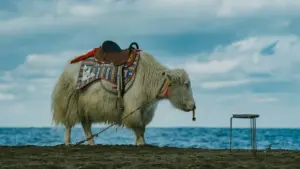 Norway ብራንድ ብJosh ንሕማቕ መዓልታዊ ልምዲ ናብ ተኸታታሊኻ ክትተላለፎ ዝሕግዝ ቀሊል መንገዲ፣ ስትራቴጂ፣ እና ምርጫ መልእኽቲ።